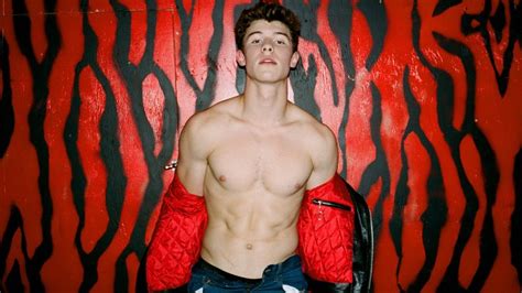 SHAWN MENDES Nude .